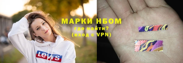 дурь Бородино