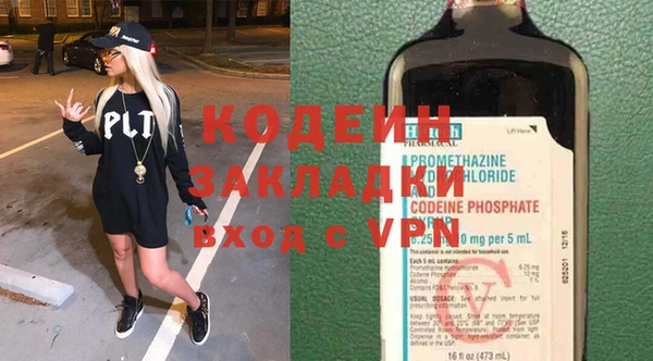 дурь Бородино