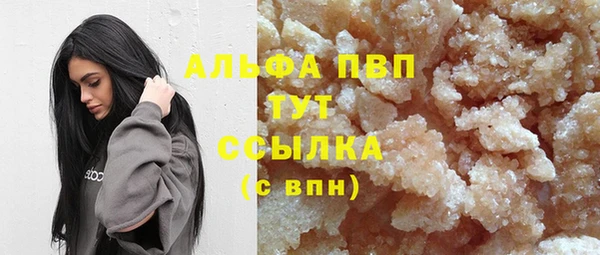 дурь Бородино