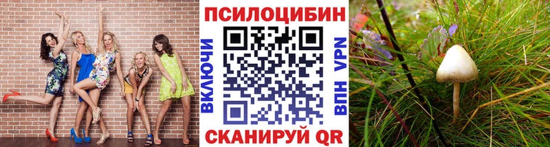 Псилоцибиновые грибы мухоморы  наркотики  Касли 